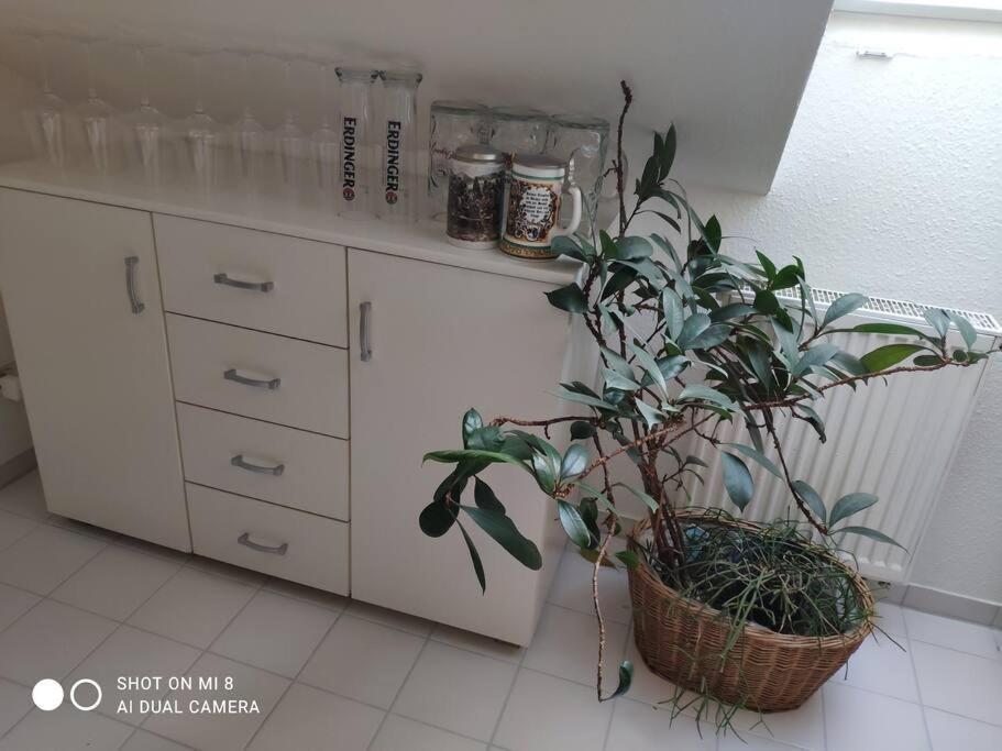 Tolle Wohnung In Zentraler Lage In Neu-Ulm Extérieur photo