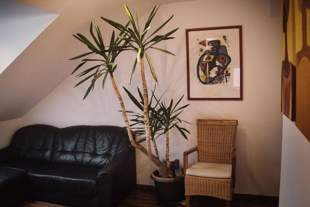 Tolle Wohnung In Zentraler Lage In Neu-Ulm Extérieur photo